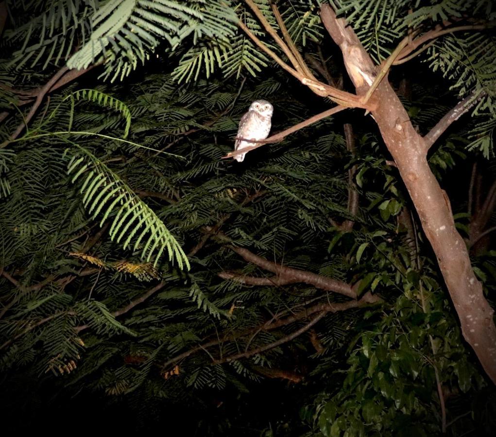 Alampat Nest Villa Tehla Bagian luar foto